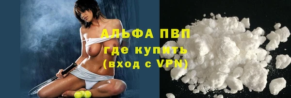 твердый Абаза