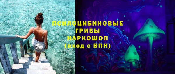 твердый Абаза