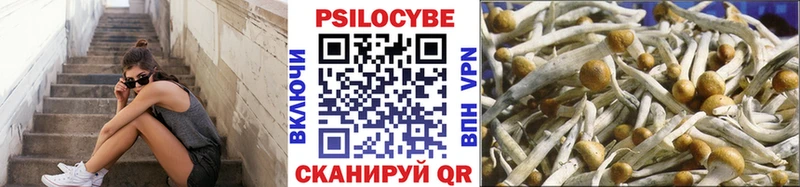 Псилоцибиновые грибы мухоморы  наркошоп  Щёкино 